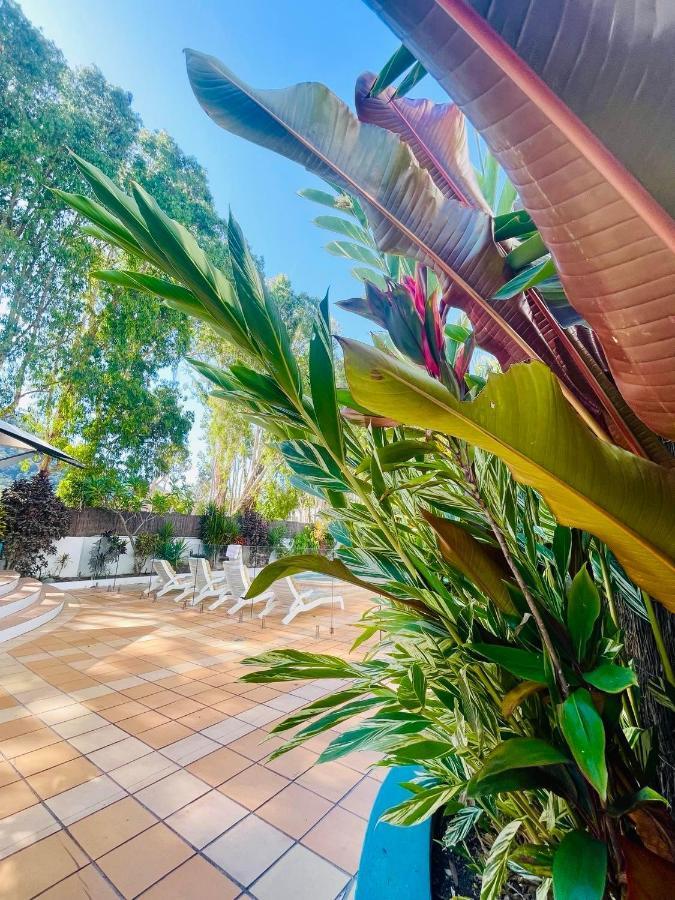 Beachview Apartments At Villa Paradiso 팜코브 외부 사진